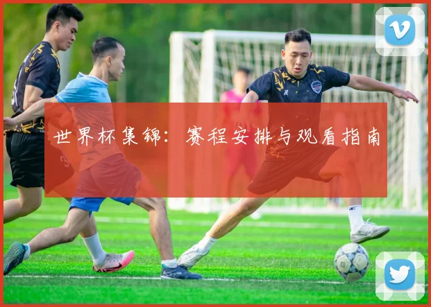 世界杯集锦：赛程安排与观看指南