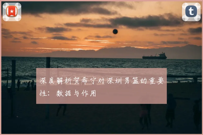 深度解析贺希宁对深圳男篮的重要性：数据与作用