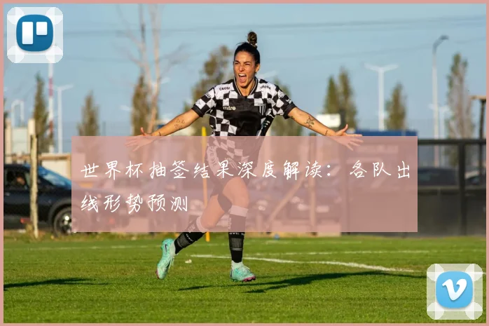 世界杯抽签结果深度解读：各队出线形势预测